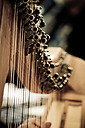 Harp Festival (49 of 54).jpg